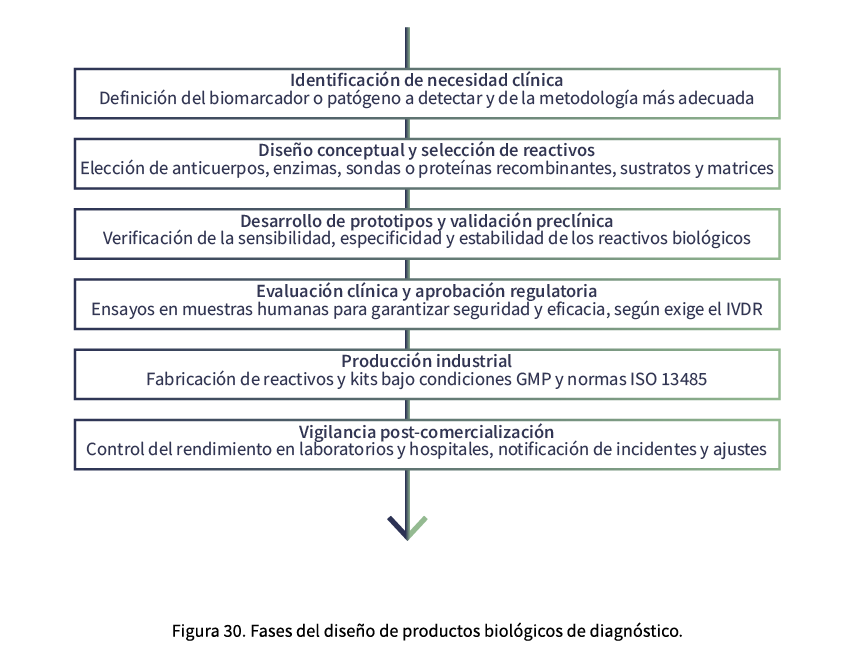 ￼ Figura 30. Fases del dise o de productos biol gicos de diagn stico. 