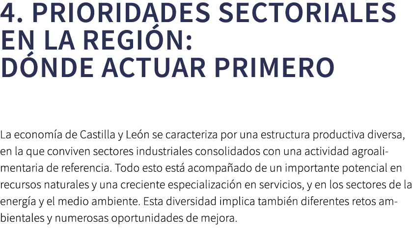 4. Prioridades sectoriales en la regi n: d nde actuar primero La econom a de Castilla y Le n se caracteriza por una e...