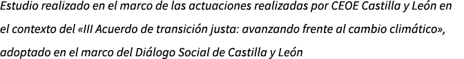 Estudio realizado en el marco de las actuaciones realizadas por CEOE Castilla y Le n en el contexto del «III Acuerdo ...