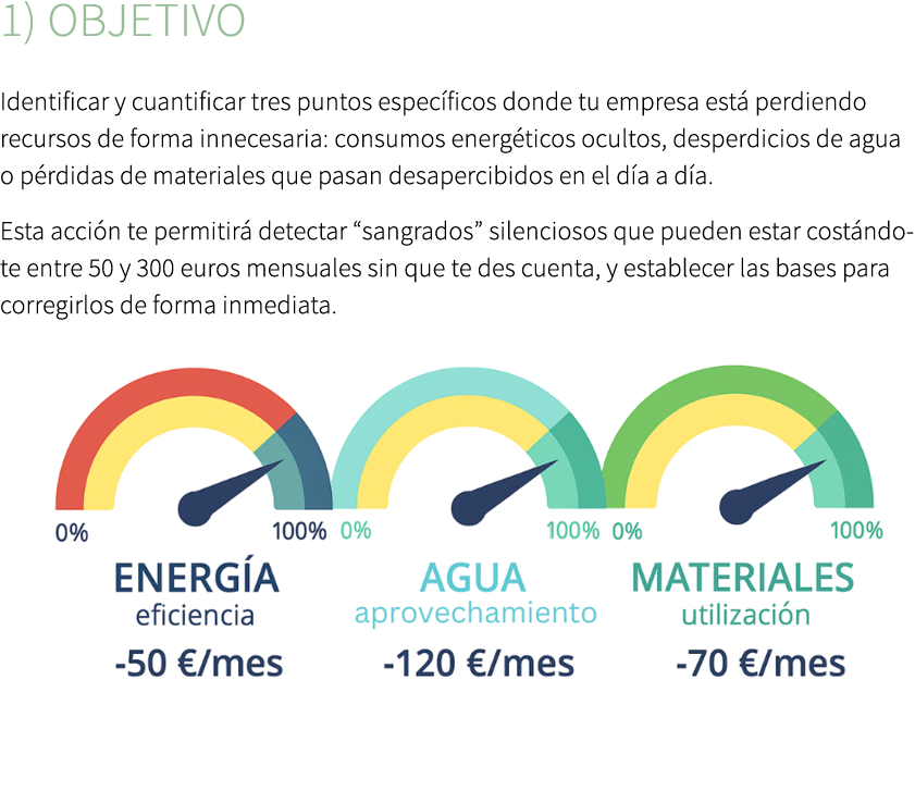 1) Objetivo Identificar y cuantificar tres puntos espec ficos donde tu empresa est perdiendo recursos de forma innec...