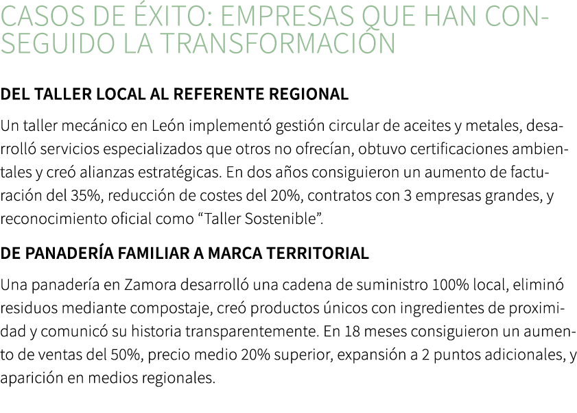 Casos de xito: empresas que han conseguido la transformaci n ﻿Del taller local al referente regional Un taller mec n...