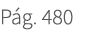 P g. 480