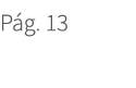 P g. 13. 13